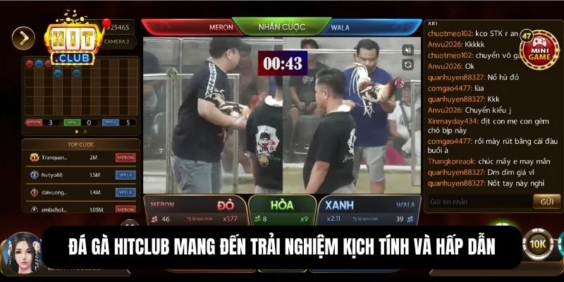 Các trận đá gà tại đây đảm bảo tính minh bạch với tỷ lệ trả thưởng rõ ràng, dao động hợp lý giữa các cửa cược.